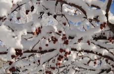 Severe weather warning issued