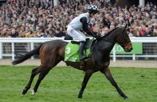 Fenton facing Dunguib decision