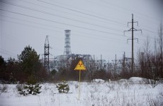 Greenpeace says Chernobyl food radiation persists