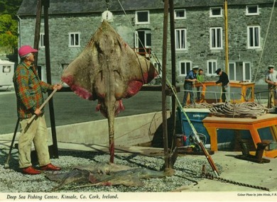 Fishermen in Kinsale, Co Cork, captured in a John Hinde postcard.