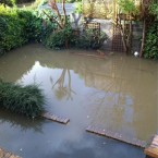 The 'swimming pool' in the back garden of TheJournal.ie reader @BKatieB/Katie Baynes