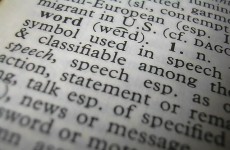 New words: the official* glossary of 2011