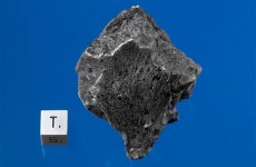 Mystery Moroccan rocks ‘fell from Mars’, say scientists