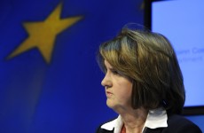 Joan Burton to helm Labour’s ‘Yes’ campaign in referendum