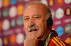 Yellow cards no problem for Del Bosque