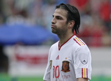 Cesc Fabregas is sure that Spain can win a third international tournament in a row.