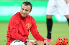 QPR chief Mark Hughes denies Berbatov link