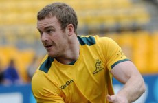 Robbie Deans: No McCabe worries despite hard-knock life