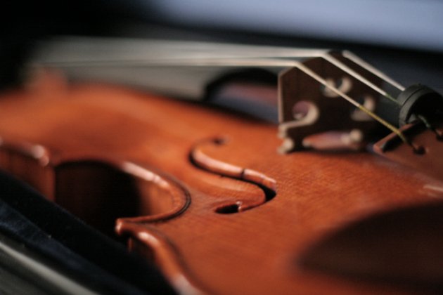 fiddle