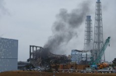 Japan’s TEPCO admits downplaying tsunami risk
