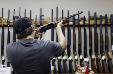 US newspaper publishes map showing gun owners’ names and addresses