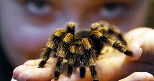 Spiders, monkeys and muddy frogs: pics from London Zoo’s stocktake