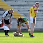 Meath's Shane McAnarney grabs a hold of this offender in Wexford Park as Wexford's Shane Cullen looks on.