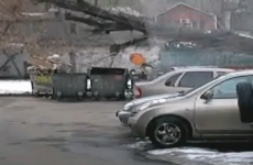 VIDEO: Before taking out the bins… LOOK BEHIND YOU