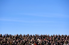 Poll: Will you have a flutter on the action at Cheltenham this week?