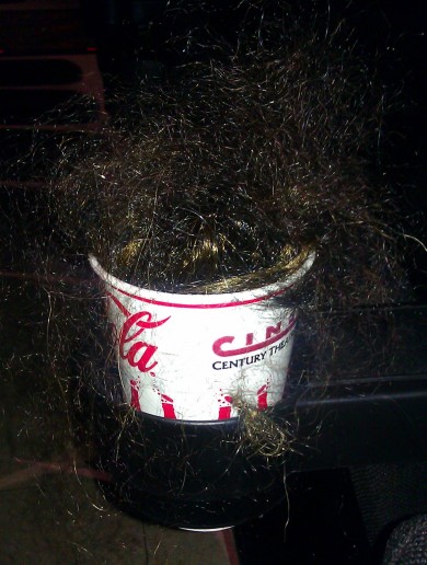 6 surprising things found on the cinema floor