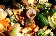 Irish households ‘waste €700 a year’ throwing out rotten food