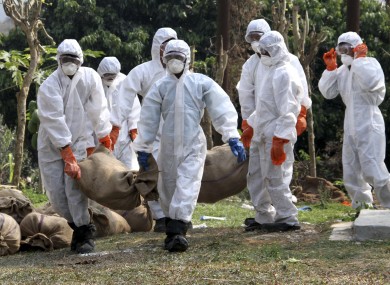 Officials carry culled birds in sacks at a poultry farm after bird flu virus was detected earlier this year
